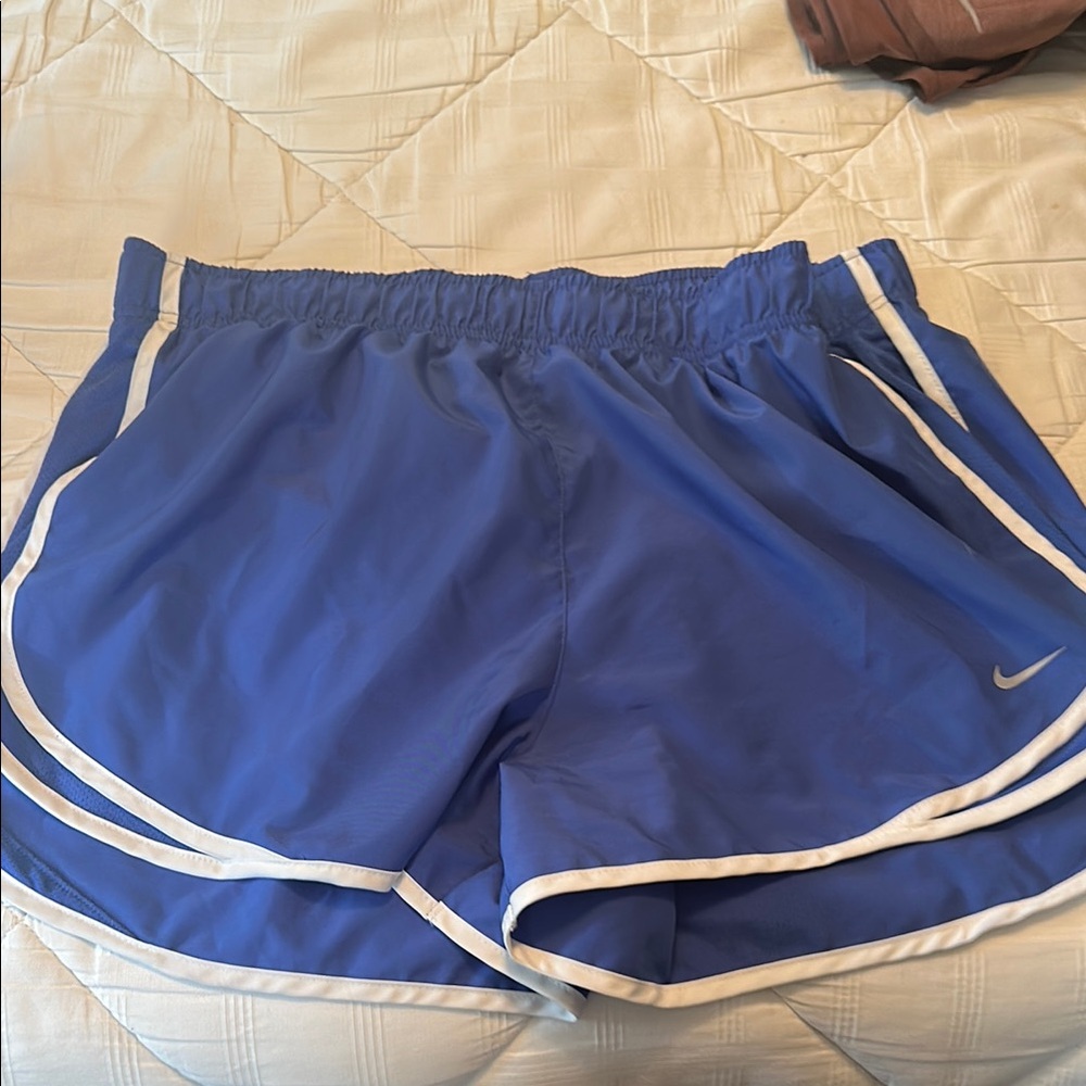 Nike Blue Athletic Shorts with Elastic Waistband and Dolphin Hem